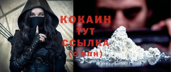 молекула духа Елизово