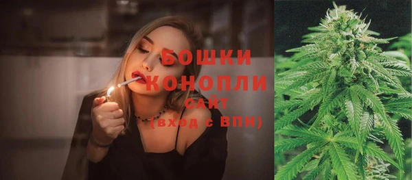 молекула духа Елизово