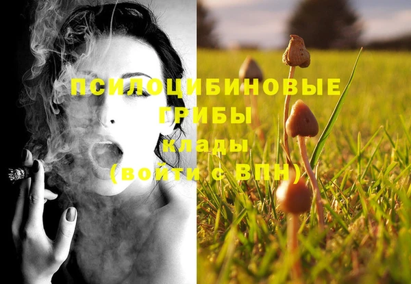 Альфа ПВП Елабуга