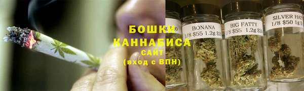 молекула духа Елизово