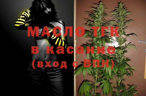 молекула духа Елизово