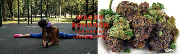молекула духа Елизово