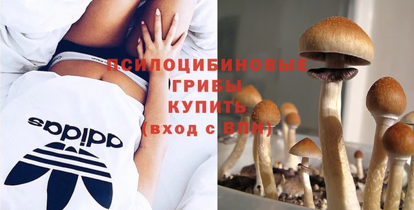 Альфа ПВП Елабуга