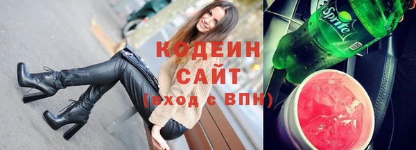 молекула духа Елизово