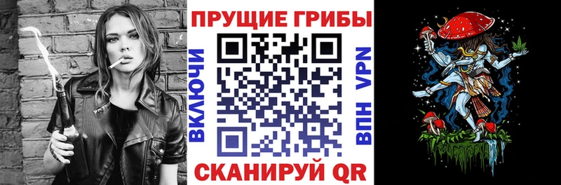 Купить закладки  Могоча  Псилоцибиновые грибы MAGIC MUSHROOMS 