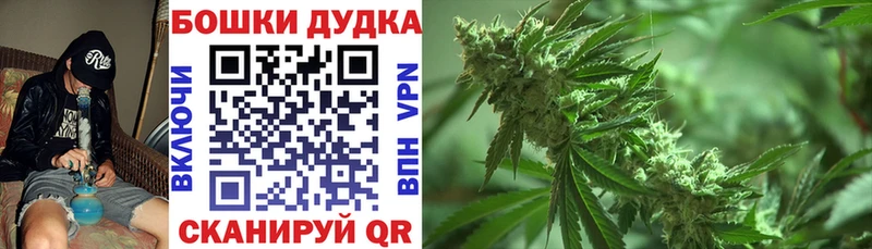 Купить где  Могоча  Бошки марихуана индика 